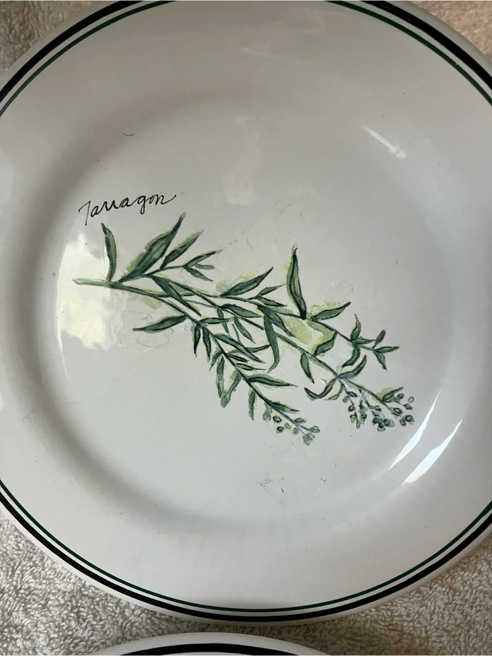 2 Williams Sonoma White Salad Plates with Green Herbs Bay and Taragon